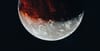 To The Moon?